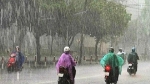 Dự báo thời tiết ngày 28/10: Bắc Bộ lạnh, từ Hà Tĩnh đến Bình Định có mưa