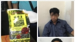 Hải Phòng: Triệt phá đường dây buôn bán ma túy lớn từ Sơn La về Hải Phòng