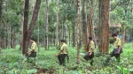 Thường xuyên kiểm tra, ngăn chặn phá rừng tại Lâm Đồng