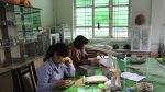 Quảng Ninh: Sẽ đào tạo nghề cho 35.000 lao động ở nông thôn trong năm 2018