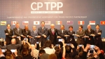 CPTPP sẽ có hiệu lực từ cuối tháng 12 sau khi 6 nước chính thức phê chuẩn