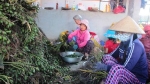 Quảng Nam: Cơ sở sấy cau hoạt động gây ô nhiễm môi trường
