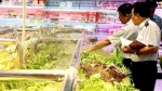 Hà Nội sẽ triển khai mô hình cảnh báo nhanh về an toàn thực phẩm