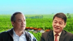 Đại gia ô tô Thaco tìm 'tướng' kinh doanh trái cây cho bầu Đức