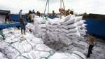 Nghị định 107 của Chính Phủ tháo gỡ nhiều rào cản cho doanh nghiệp xuất khẩu gạo