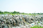 Nhà máy rác xin đóng cửa thêm 3 tháng, UBND Cà Mau 'lắc đầu'