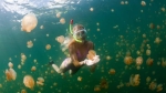 Quốc đảo Thái Bình Dương cấm kem chống nắng để bảo vệ san hô