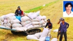 Truy nã đối tượng lừa bán lúa