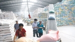Gạo Việt đối diện nhiều thách thức trong tình hình mới