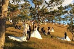 Bức ảnh ấn tượng nhất cuối tuần: Đà Lạt '1 mét vuông 10 đôi chụp ảnh cưới' và phản ứng hài hước của dân mạng