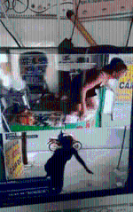 Nữ chủ cửa hàng cầm đồ nhảy qua tủ kính túm cổ tên cướp như phim hành động