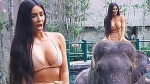Kim Kardashian diện bikini cưỡi voi ở Bali