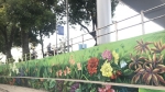 Độc đáo tranh tường 'Hà Nội 12 mùa hoa'