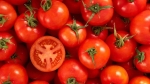 Lợi ích bất ngờ khi ăn cà chua mỗi ngày