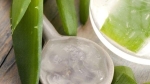 7 cách sử dụng gel nha đam làm đẹp tại nhà được bác sĩ da liễu khuyến khích