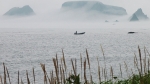 Một hòn đảo gần lãnh thổ tranh chấp của Nhật Bản bất ngờ 'biến mất'