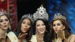 Chân dung mỹ nhân Việt Nam đăng quang Hoa hậu Trái đất 2018