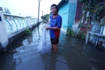 Triều cường lên đỉnh 1,62m, người Sài Gòn lội nước trong nhà