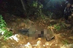 Đã xác định danh tính thi thể nam giới mất đầu, nghi bị lợn rừng rỉa thịt ở Thanh Hóa