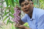 Hà Tĩnh: Thầy giáo dạy sinh học trường làng sở hữu vườn lan tiền tỷ