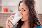 Uống sữa bò có thật sự tốt cho sức khỏe?