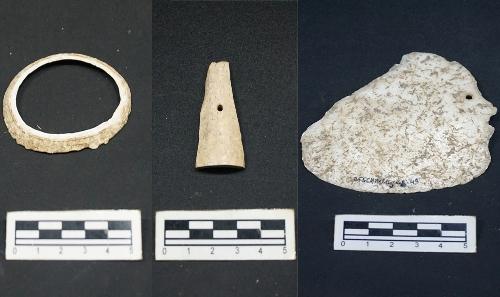 Vòng tay vỏ ốc, mặt trang sức bằng xương thú, mặt dây chuyền bằng vỏ điệp được phát hiện ở Suối Chình. Ảnh: Đoàn Ngọc Khôi.