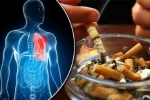 6 cách giúp bạn phòng ngừa ung thư phổi