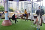 Ngựa thật được dùng làm vòng xoay tại khu vui chơi ở Trung Quốc