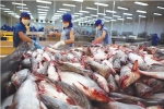 Trung Quốc đẩy mạnh nuôi cá tra, đe dọa doanh nghiệp Việt Nam