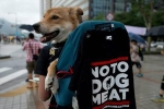 Hàn Quốc đóng cửa lò mổ chó lớn nhất đất nước