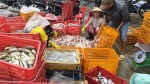 Phiên chợ cá Bình Thuận trước giờ tránh bão