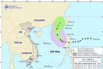 Tin bão số 7 mới nhất: Bão cách quần đảo Hoàng Sa 560km, giật cấp 12