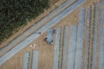 Clip: 3 bác nông dân bỏ ruộng chạy lấy người khi thấy chiếc flycam lơ lửng trên đầu