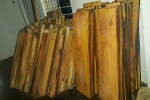 Hàng trăm phách gỗ không rõ nguồn gốc trong nhà máy thủy điện