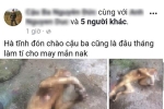 Lại thêm một thanh niên Hà Tĩnh 'khoe' ảnh giết khỉ lên mạng xã hội