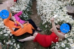 Góc chơi trội: Chán tạo dáng e ấp bên cúc hoạ mi, 3 chị gái rủ nhau nằm hẳn lên luống hoa chụp ảnh