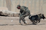 Quân khuyển Mỹ bị bắn chết khi tấn công phiến quân Afghanistan