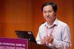 Sự biến mất bí ẩn của nhà khoa học Trung Quốc công bố nghiên cứu chỉnh sửa gene người chấn động thế giới