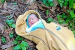 Bé gái sơ sinh bị bỏ trong nghĩa trang ở Bình Thuận
