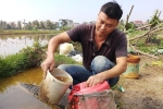 Vụ hàng nghìn lít dầu tràn ở Thanh Hóa: Dân làng đổ xô mang can ra hớt dầu