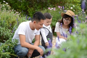 Tết Dương lịch đi đâu: Gợi ý 5 khu nghỉ dưỡng gần Hà Nội dành cho gia đình có con nhỏ