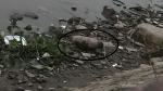 Phát hiện quả bom dài 60cm nằm lộ thiên dưới bờ sông ở Hải Phòng