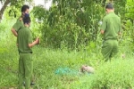 Người phụ nữ chết ven bìa rừng Phú Quốc có hộ khẩu thường trú ở Sài Gòn