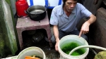Gần 40 năm ‘khát‘ nước sạch giữa thành phố Quảng Ngãi