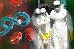 Phát hiện chủng virus Ebola mới cực kỳ nguy hiểm
