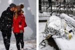 Paris đón tuyết đầu mùa sau nhiều tuần căng thẳng: Kẻ lãng mạn xuống phố, người cô đơn chống chọi giá rét