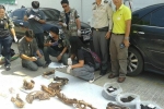 Cảnh sát Thái Lan bắt giữ băng người Việt vì buôn lậu cốt hổ