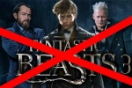 Fantastic Beasts 3 bị đẩy lùi lịch sản xuất, lý do tại sao?