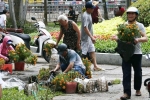 Trưa 30 Tết, nhiều tiểu thương Sài Gòn tự tay đập chậu hoa cảnh, vứt la liệt ở công viên