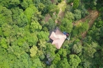 Bỏ biệt thự triệu USD Hà Nội: Đại gia về rừng ở ẩn, thanh lọc cơ thể